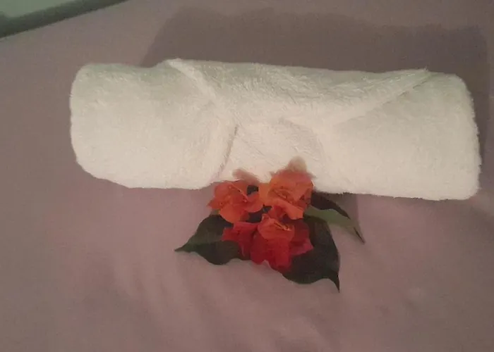 Grace Garden By Eminence Ent Bed & Breakfast Ocho Rios